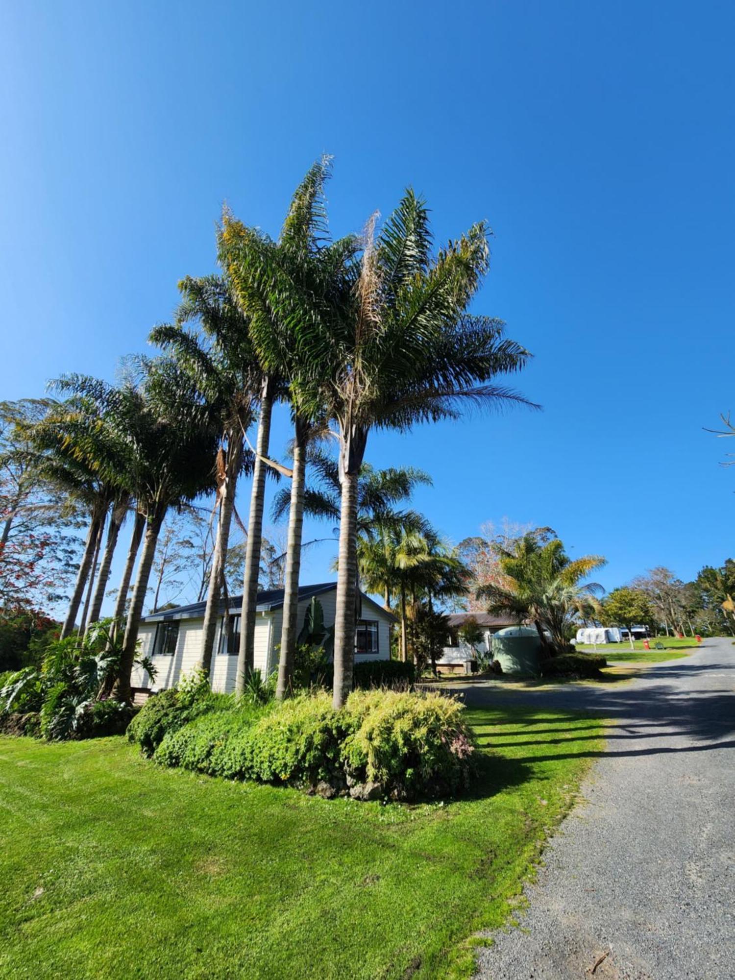 Bay Of Islands Holiday Park Paihia Exterior photo